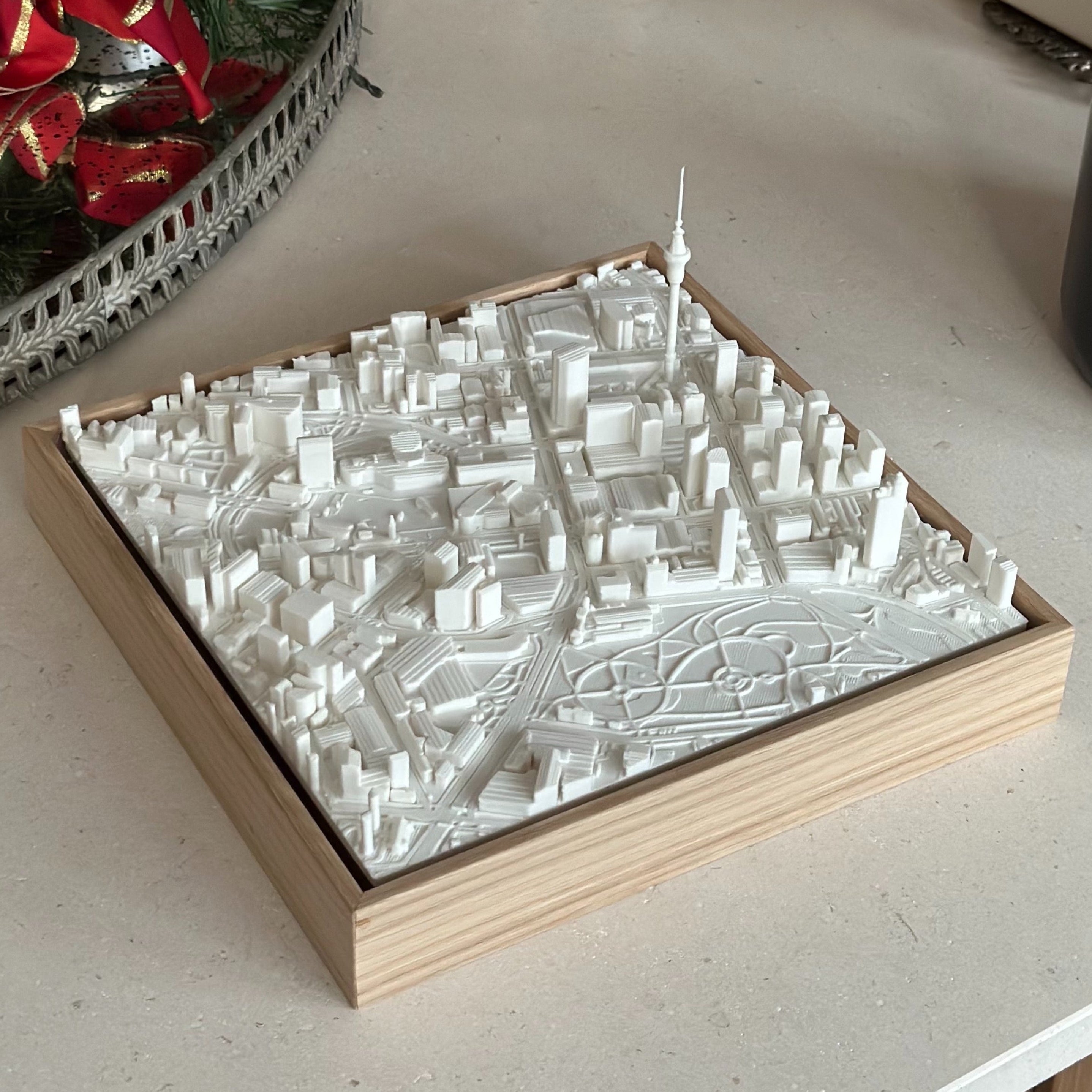 Auckland Compact mapa 3D en relieve