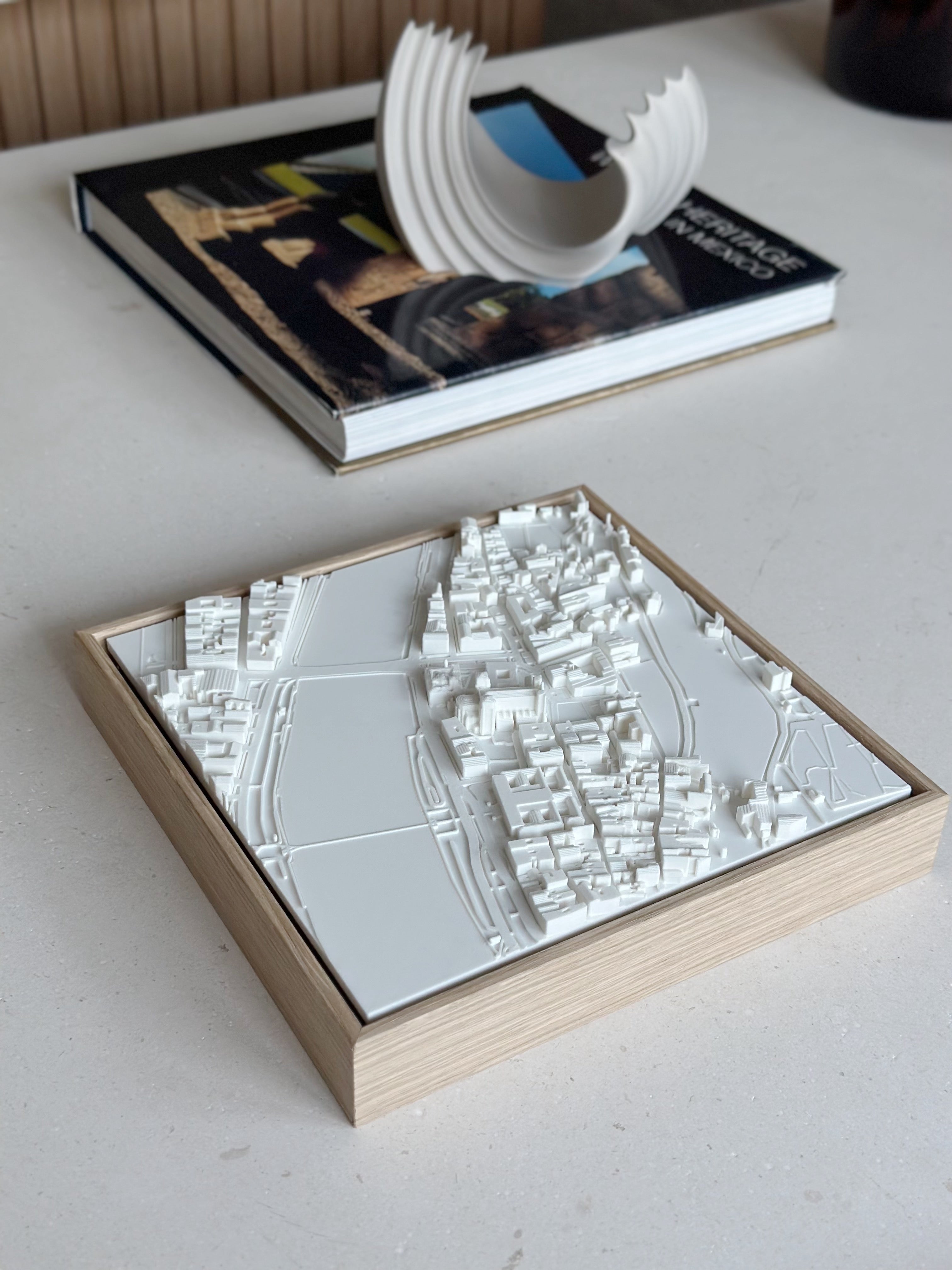 Lyon Compact mapa 3D en relieve